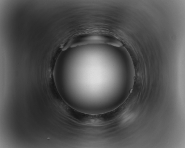 X0000090470555200707131259