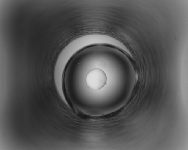 X0000090470556200707131259