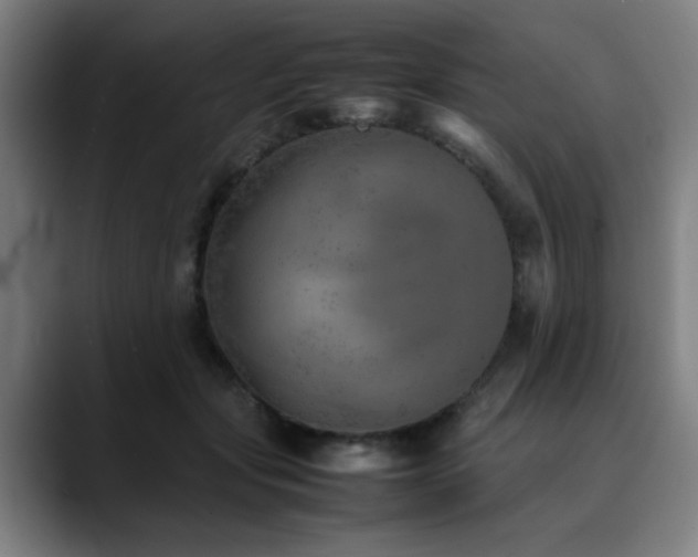 X0000090470557200707131259
