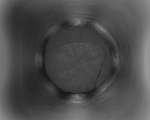 X0000090470558200707131300