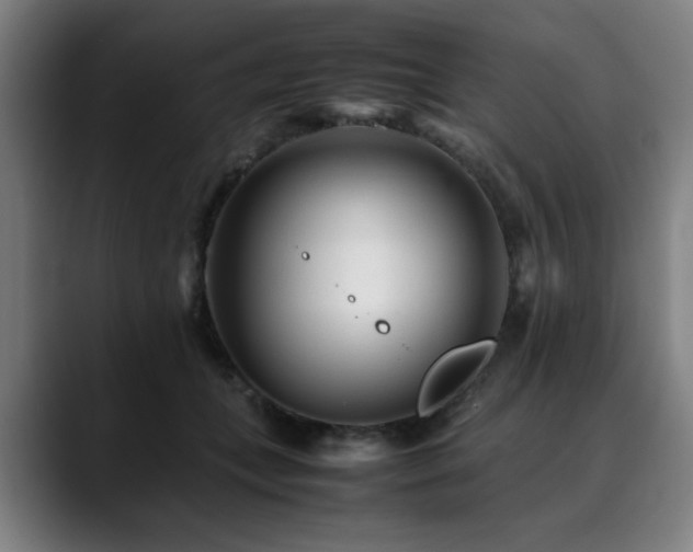 X0000090470559200707131300