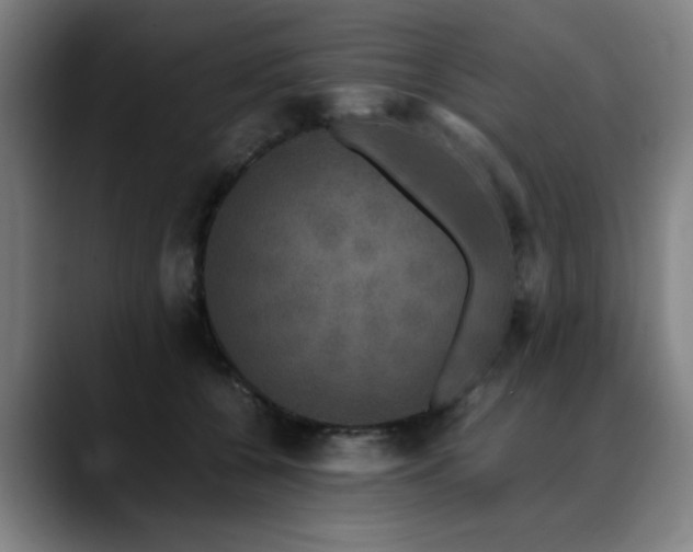 X0000090470560200707131300