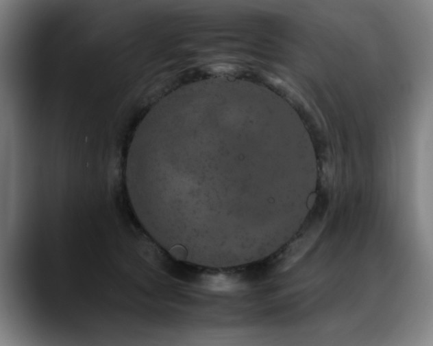 X0000090470561200707131300