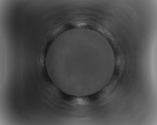 X0000090470565200707131300