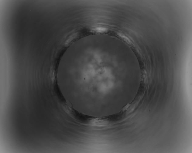 X0000090470568200707131300