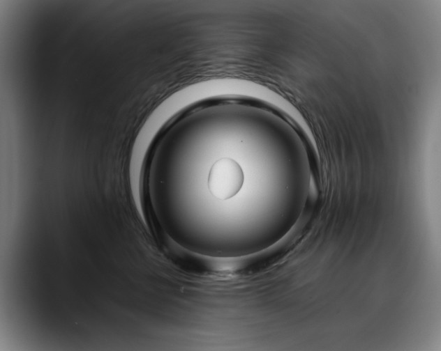 X0000090470570200707131300