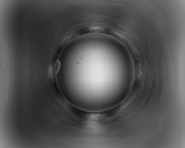 X0000090470575200707131300