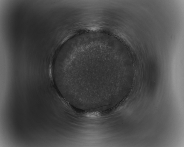 X0000090470576200707131300