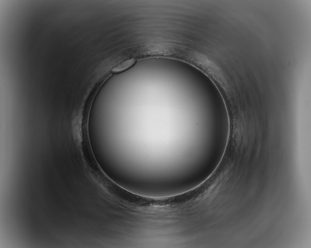 X0000090470578200707131259