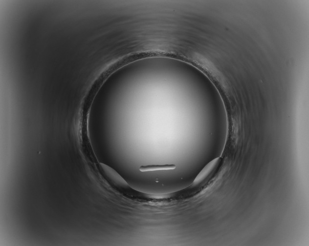 X0000090470580200707131259