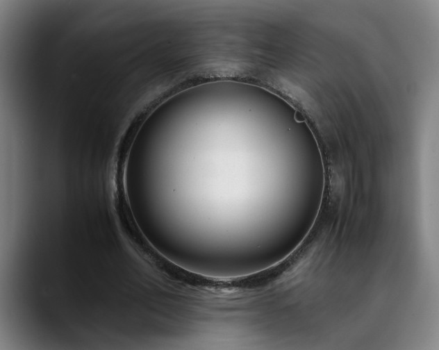 X0000090470582200707131259