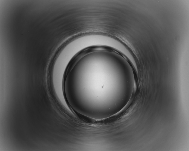 X0000090470584200707131259