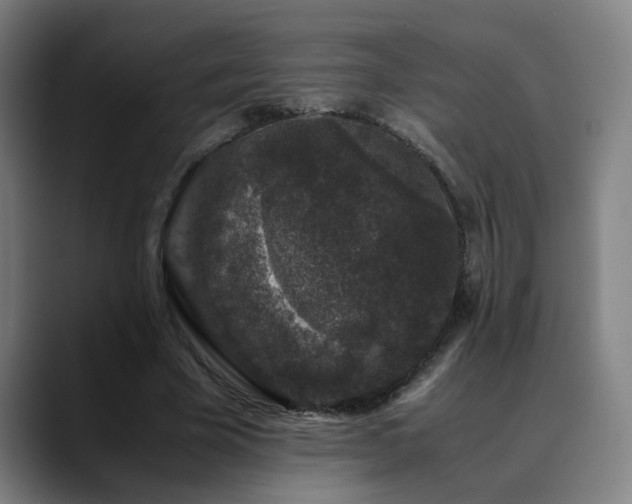 X0000090470585200707131259