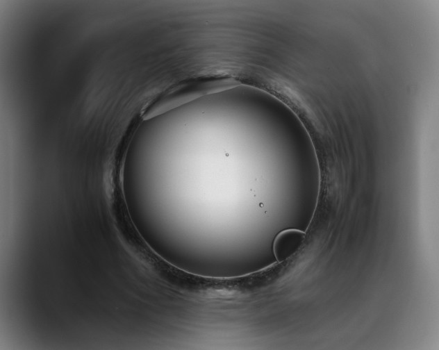 X0000090470586200707131259