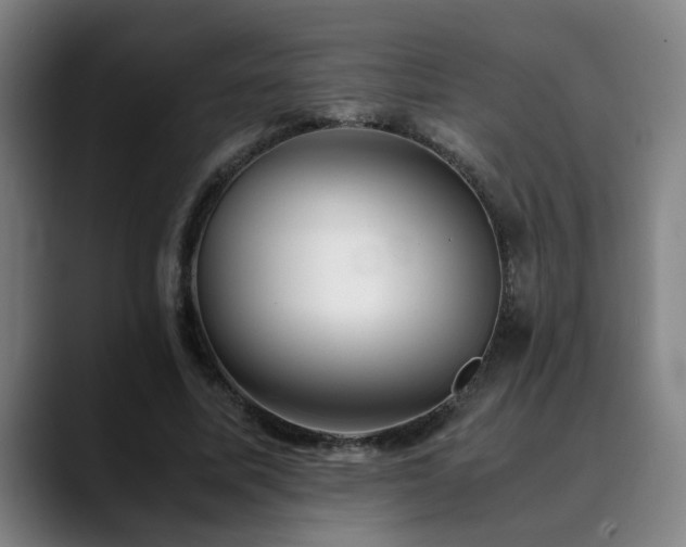 X0000090470587200707131259