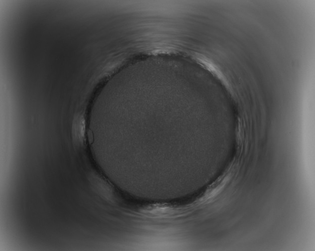 X0000090470589200707131259