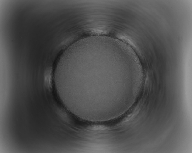 X0000090470590200707131259