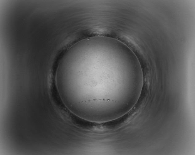 X0000090470591200707131259