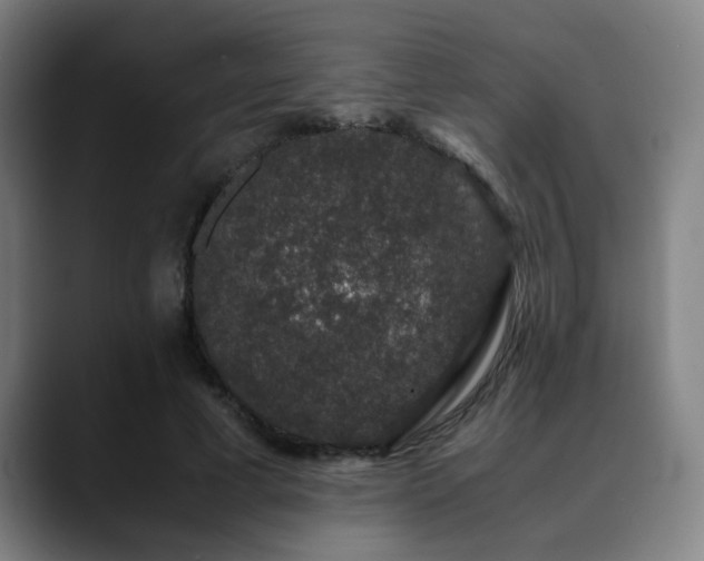 X0000090470593200707131259