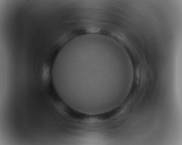 X0000090470598200707131259