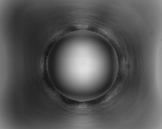 X0000090470600200707131259