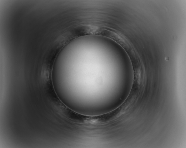 X0000090470602200707131259