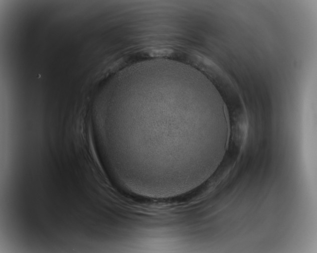 X0000090470604200707131259