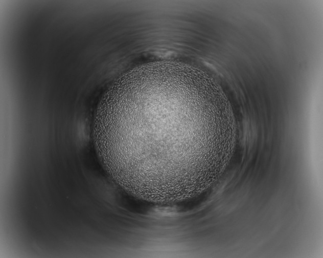 X0000090470606200707131259
