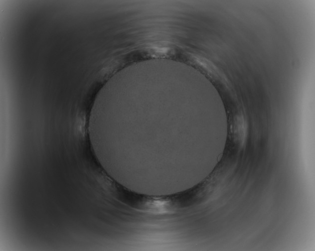 X0000090470610200707131259