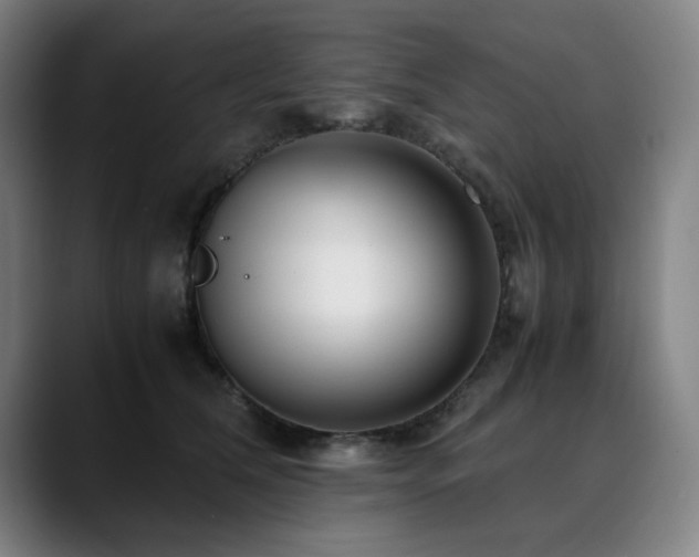 X0000090470612200707131259