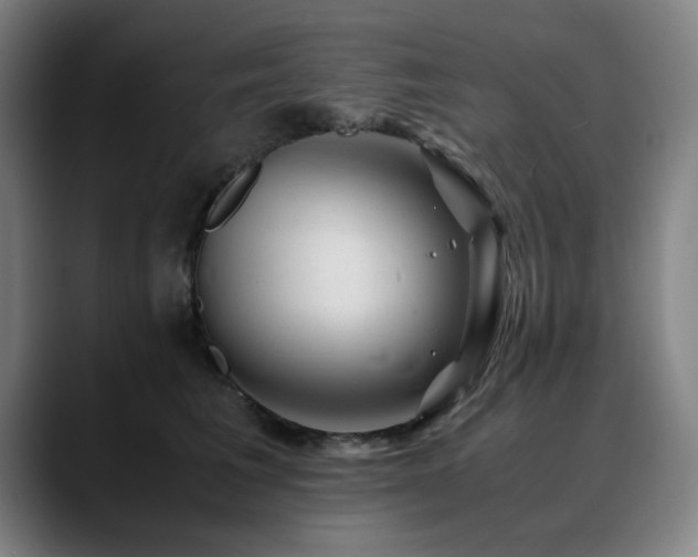 X0000090470613200707131259