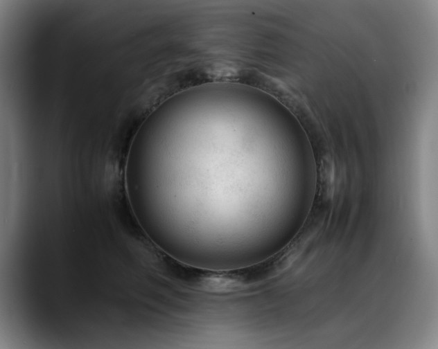 X0000090470614200707131259