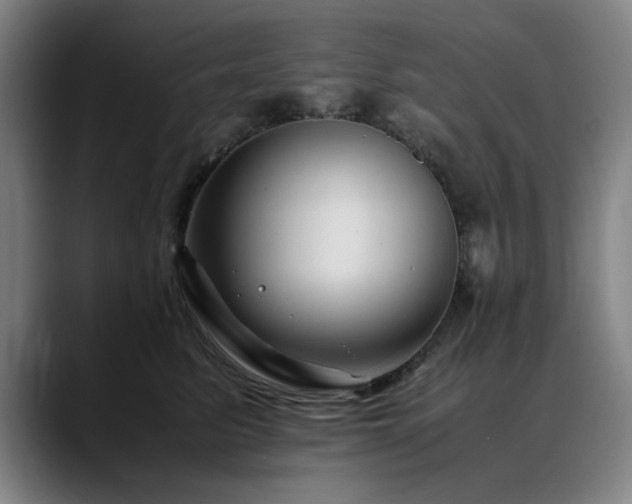 X0000090470615200707131259