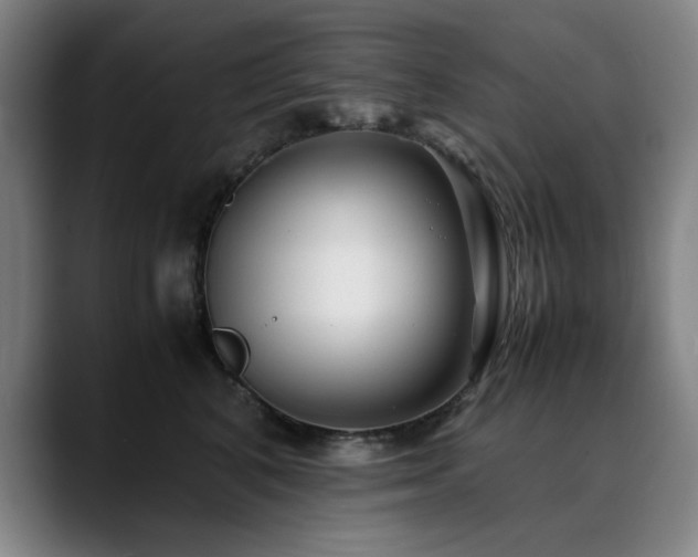 X0000090470616200707131259