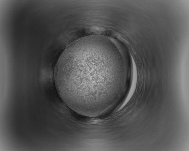 X0000090470617200707131259