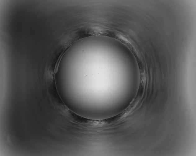X0000090470621200707131259