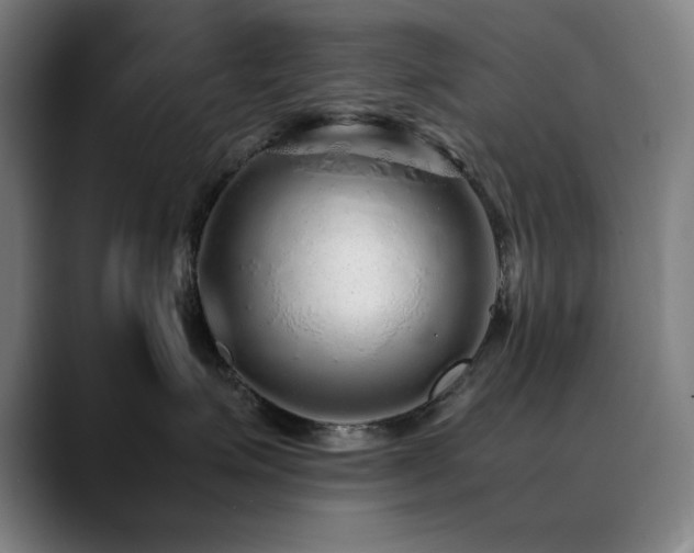 X0000090470623200707131259