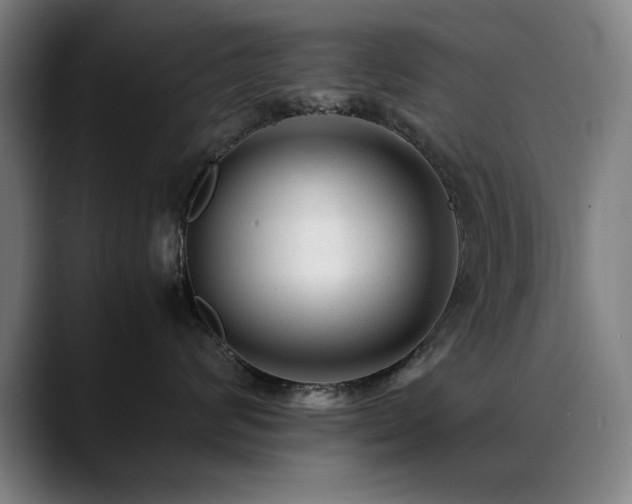 X0000090470624200707131259