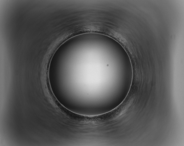 X0000090470625200707131258