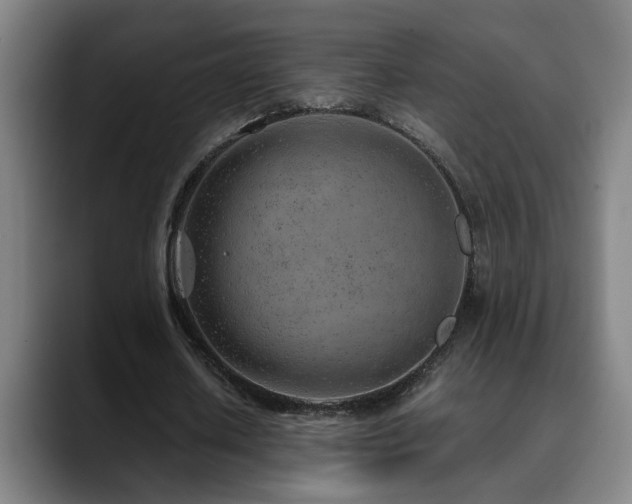 X0000090470626200707131258