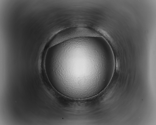X0000090470627200707131258