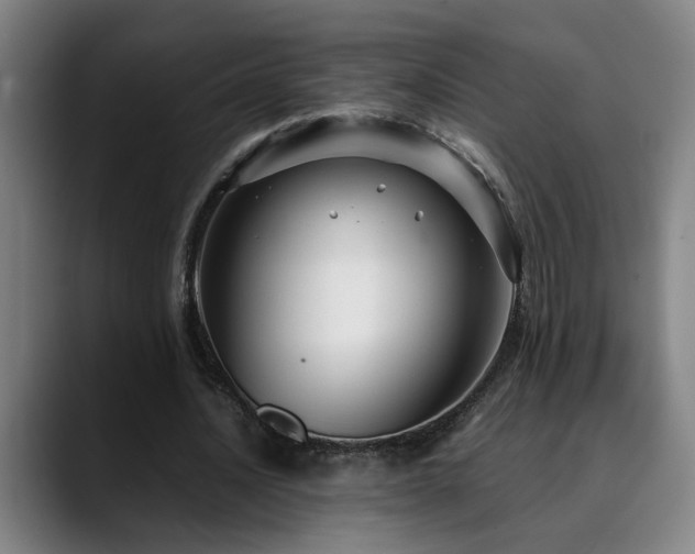 X0000090470628200707131258
