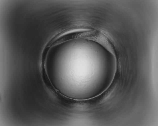 X0000090470630200707131258