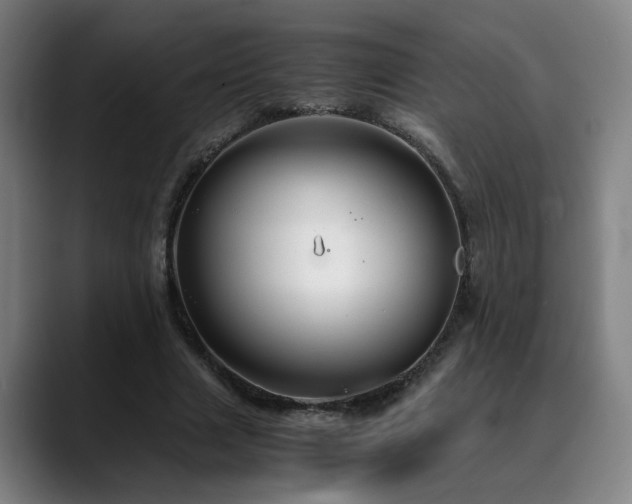 X0000090470633200707131258