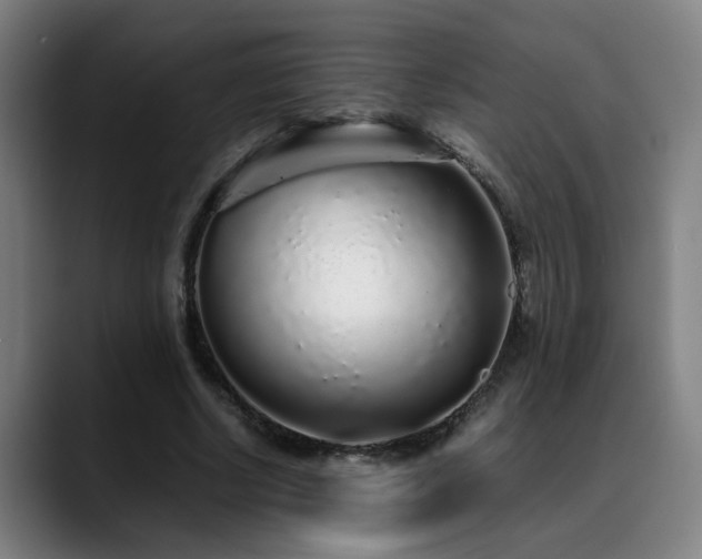 X0000090470634200707131258