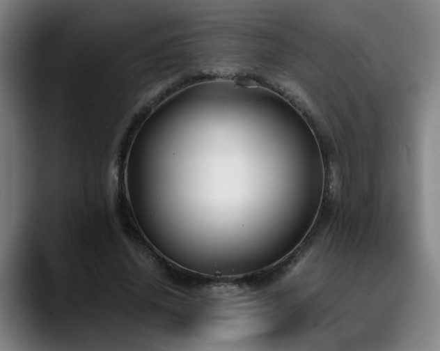 X0000090470636200707131258