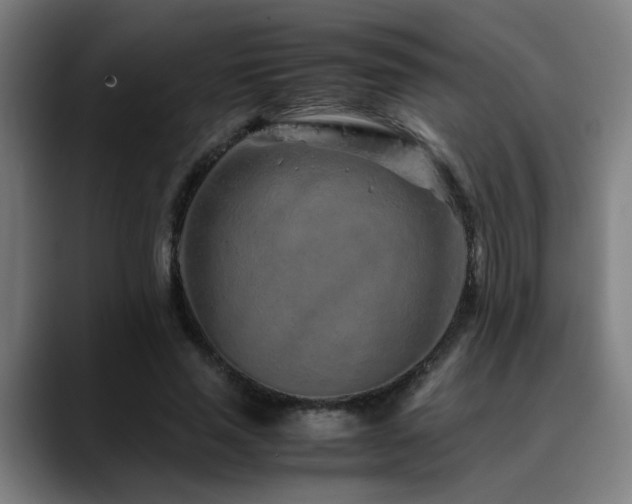 X0000090470637200707131258