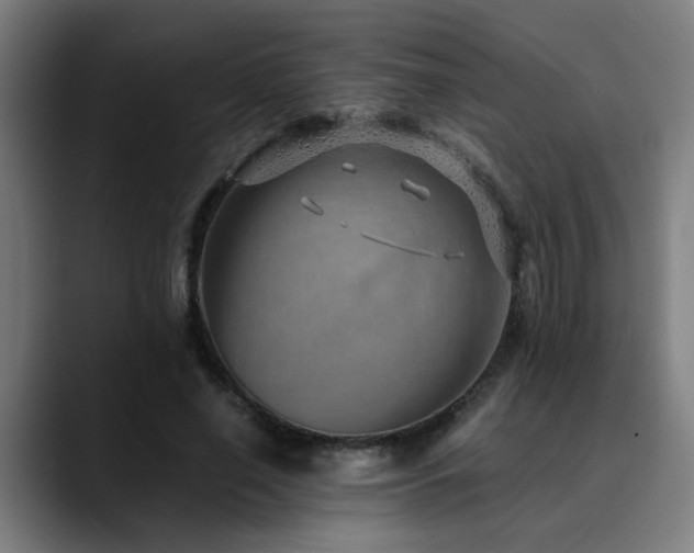 X0000090470638200707131258