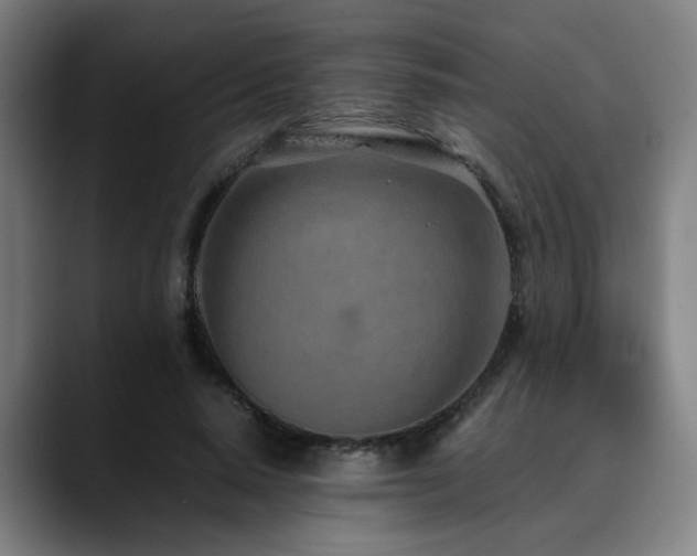 X0000090470640200707131258