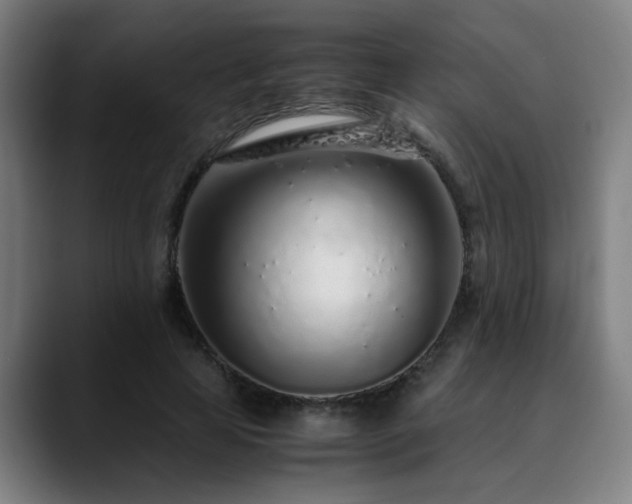 X0000090470641200707131258